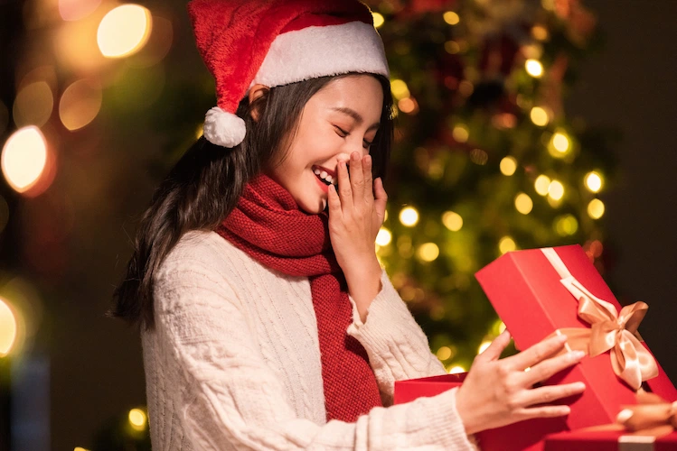 Christmas decorations2